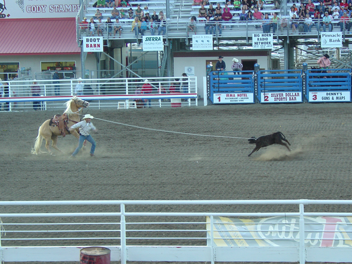 Cody, Wyoming 2010