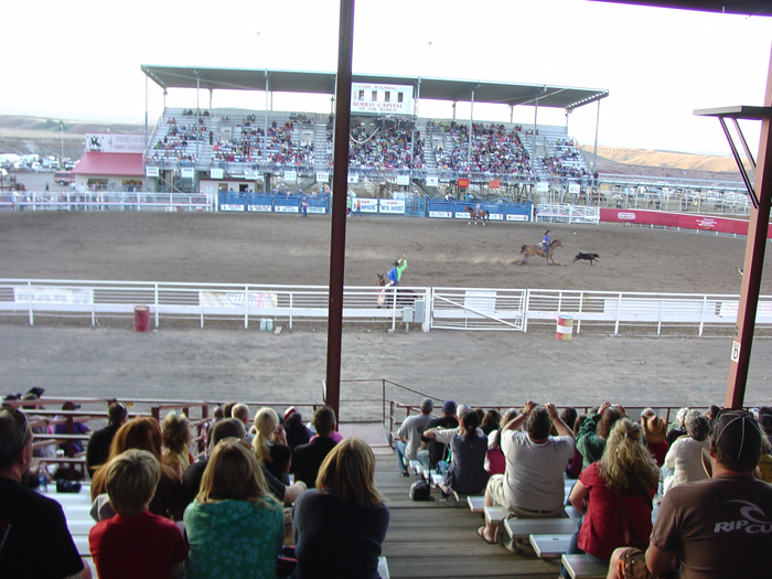 Cody, Wyoming 2010