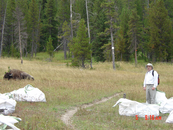 Bechler Hike - Yellowstone 2004